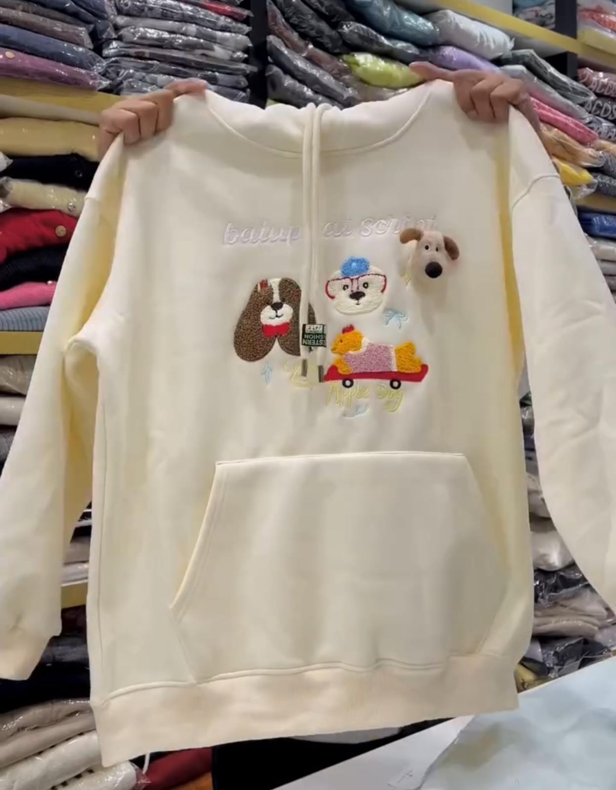 Pack of 2 Wool Hoodies for Women ✨